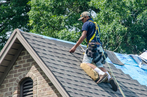 Best Roof Repair Services  in Montevlo, AL